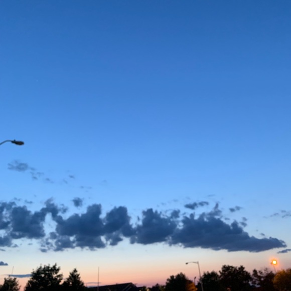 Meet your Posher, Mackenzie - Picture 1 of 1